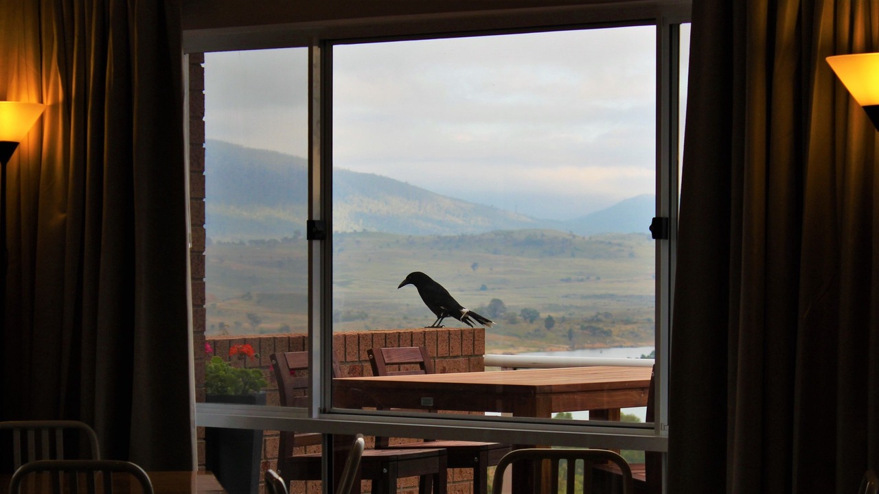 Photo of Others in Jindabyne