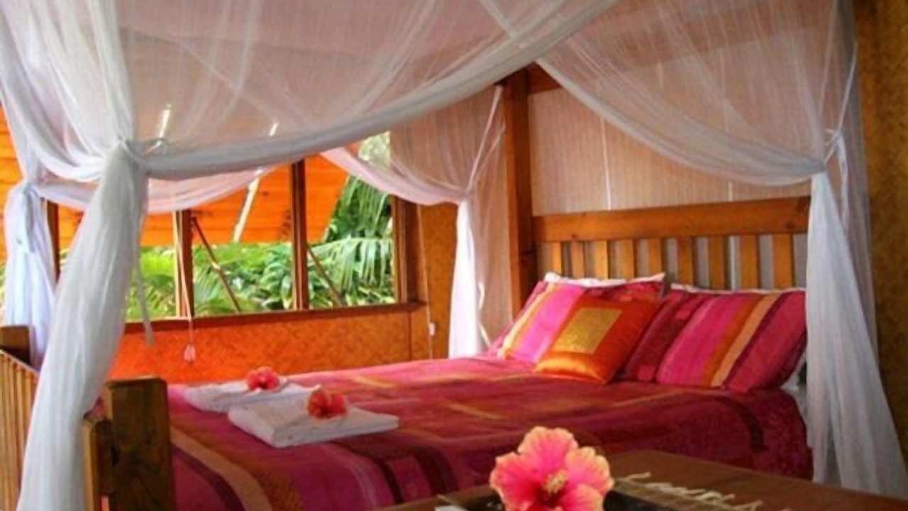 Photo of Others in Seventeen Seventy