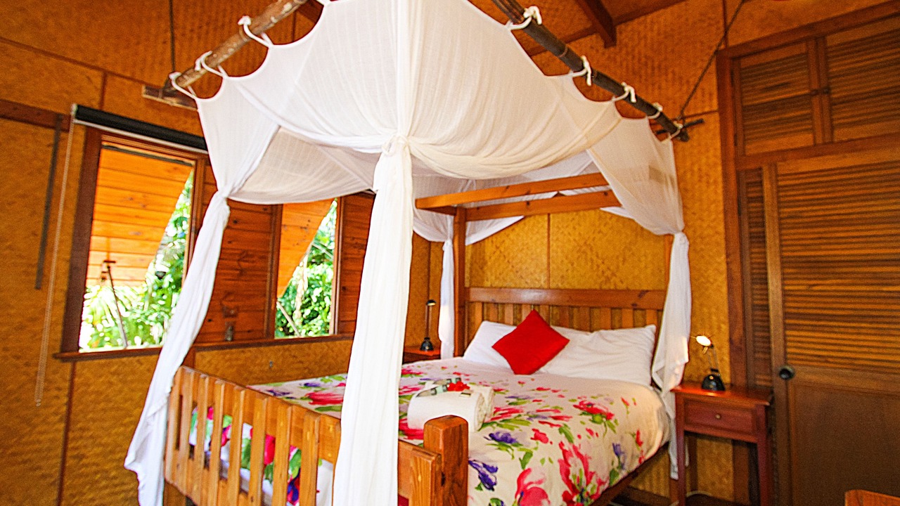 Photo of Others in Seventeen Seventy