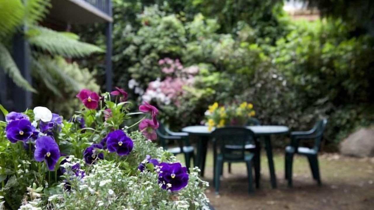 Photo of Outdoor in Beechworth