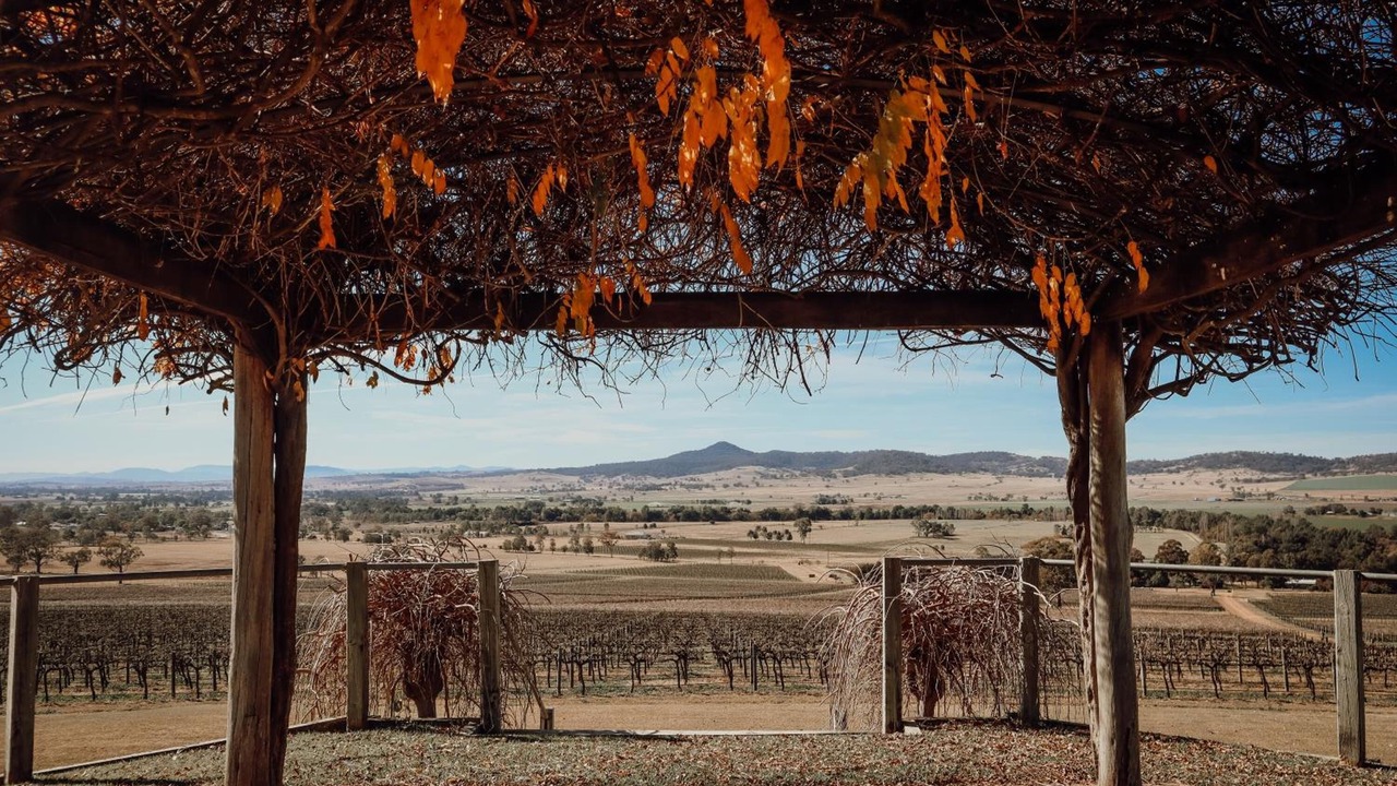 Photo of Outdoor in Denman