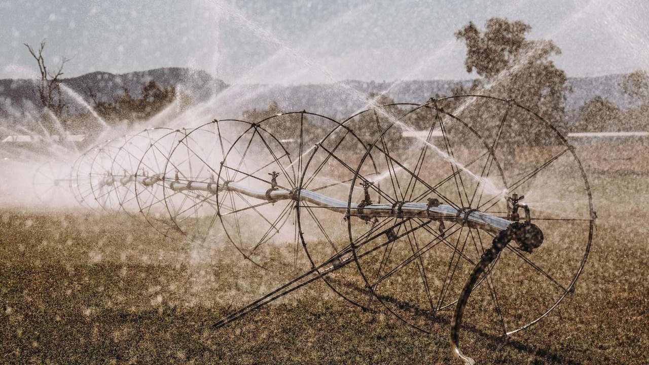 Photo of Others in Denman