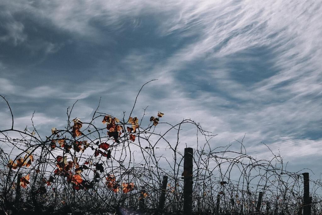 Photo of Others in Denman