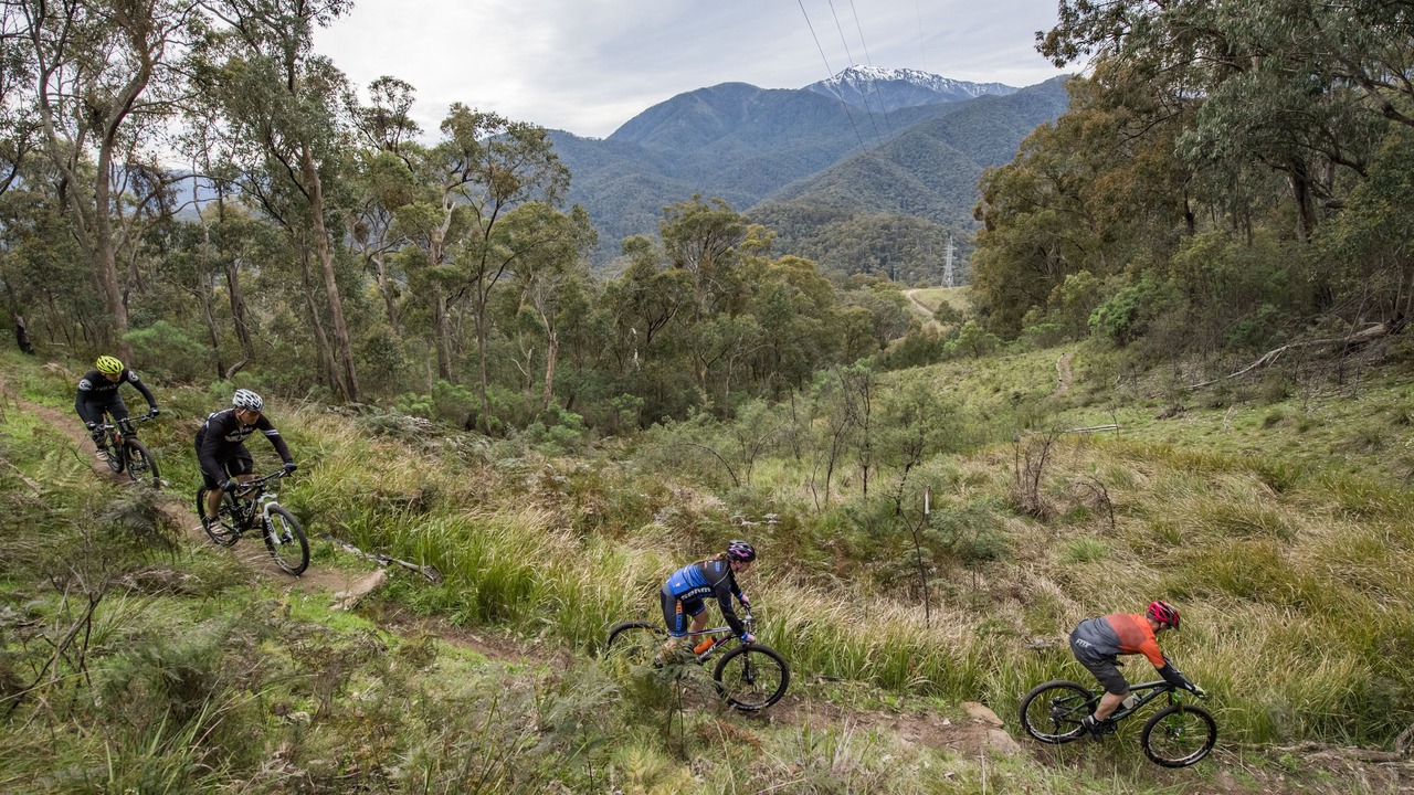 Photo of Outdoor in Bright