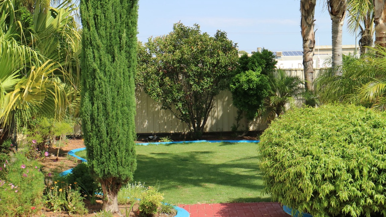 Photo of Outdoor in Renmark