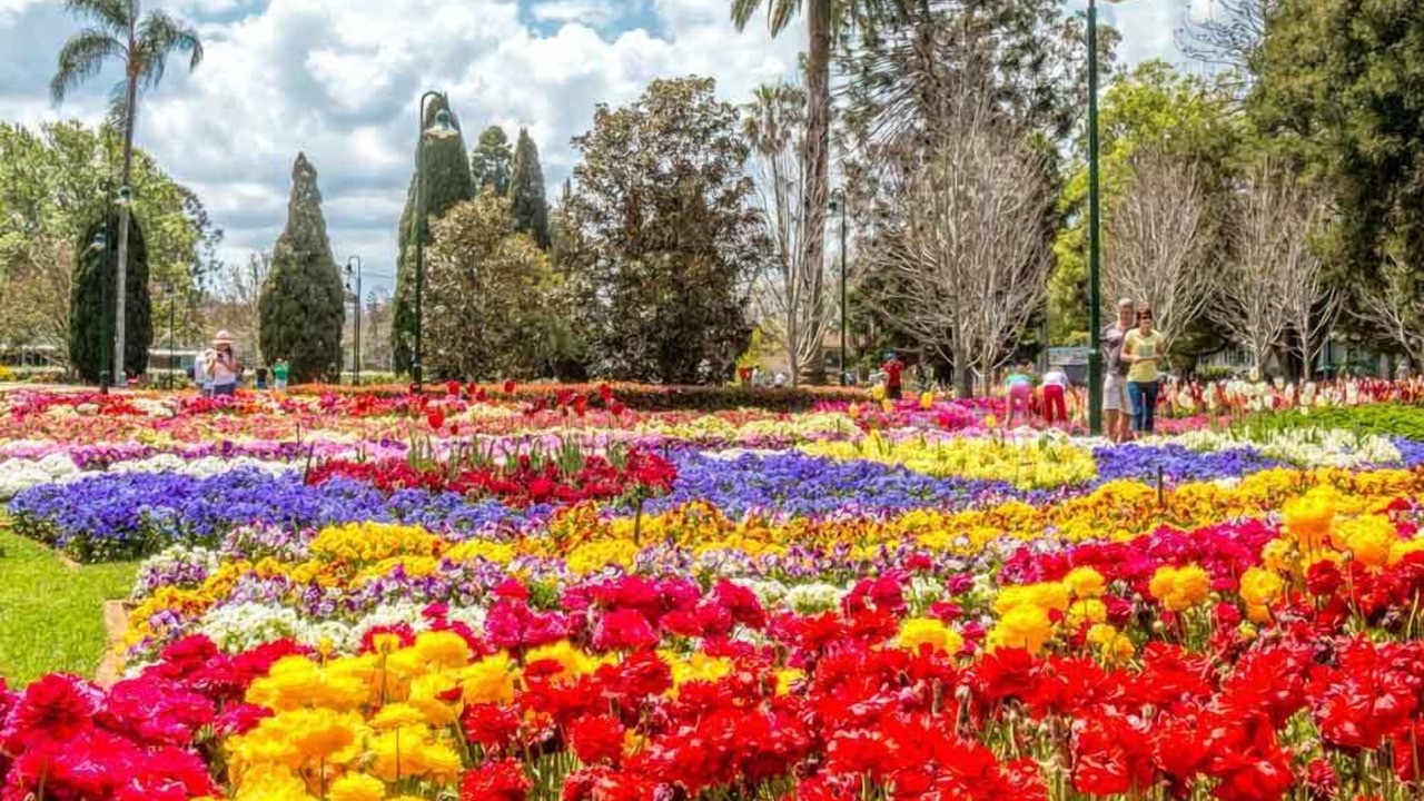 Photo of Others in East Toowoomba
