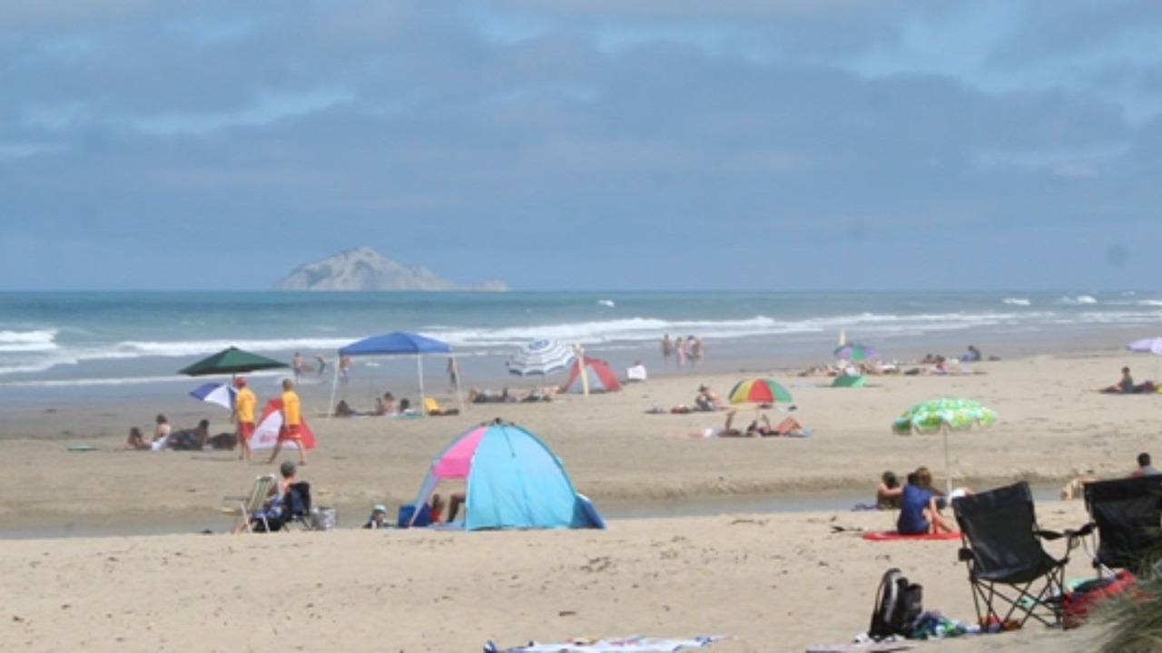 Photo of Others in Anderson Park
