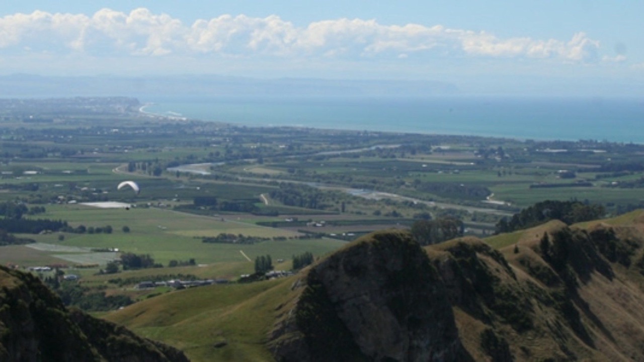 Photo of Others in Anderson Park