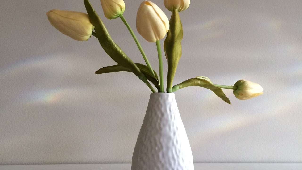 Photo of Others in Hamilton