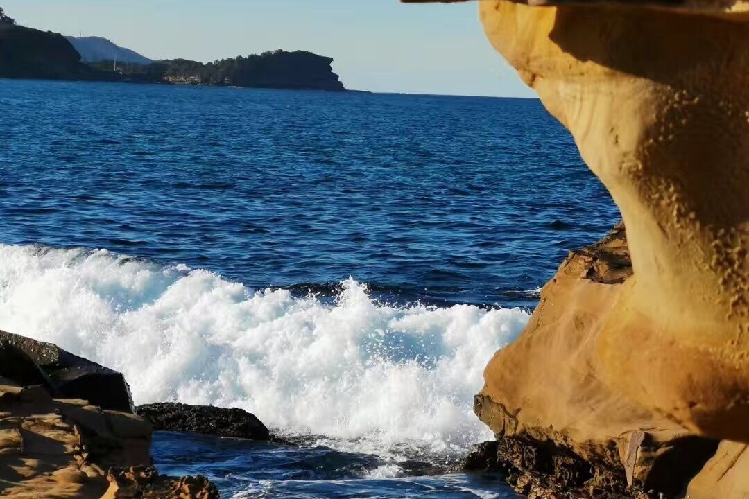 Photo of Others in Wamberal