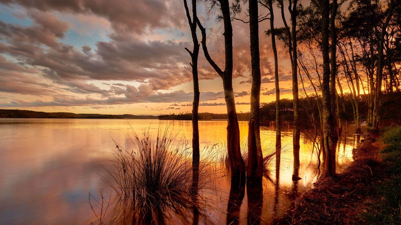 Photo of Others in Blueys Beach