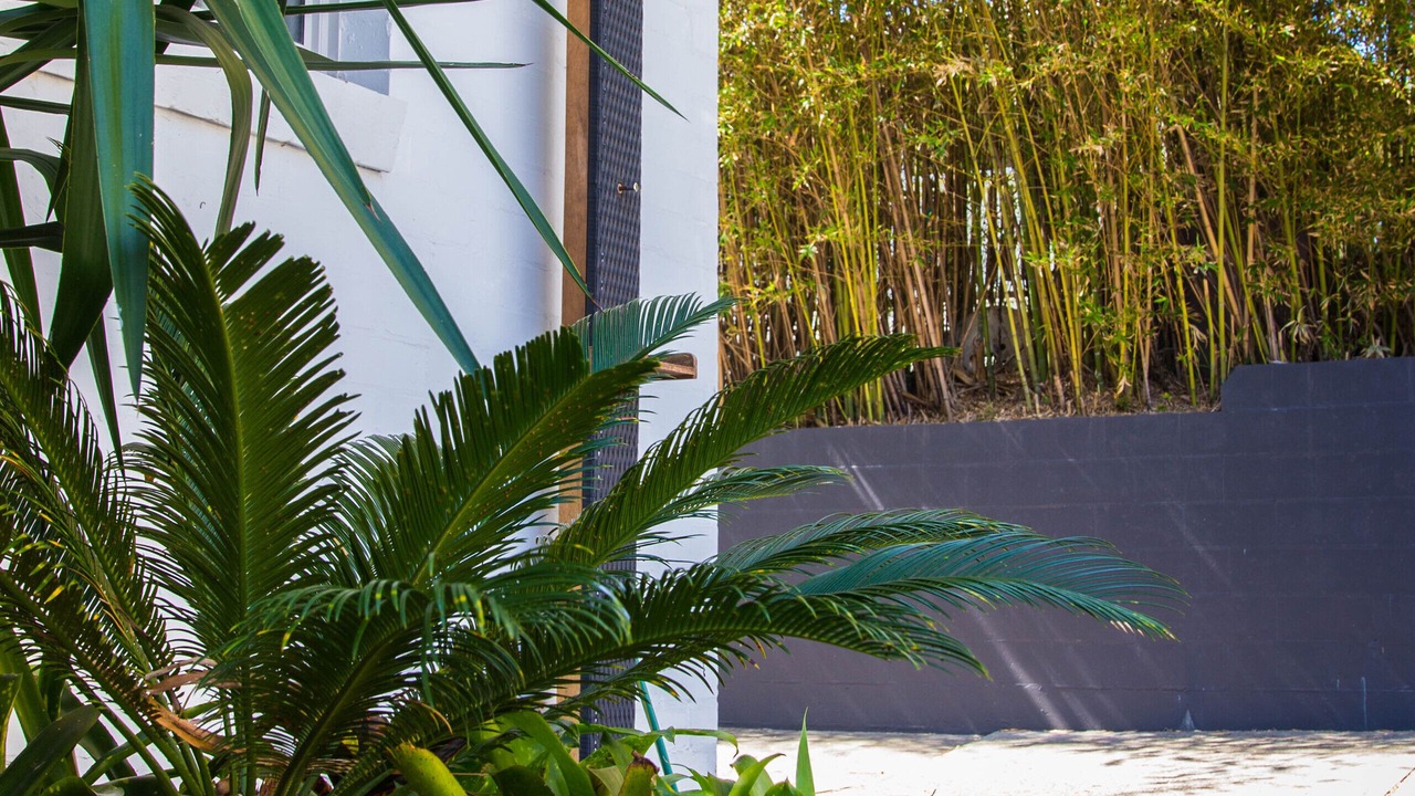 Photo of Outdoor in Blueys Beach