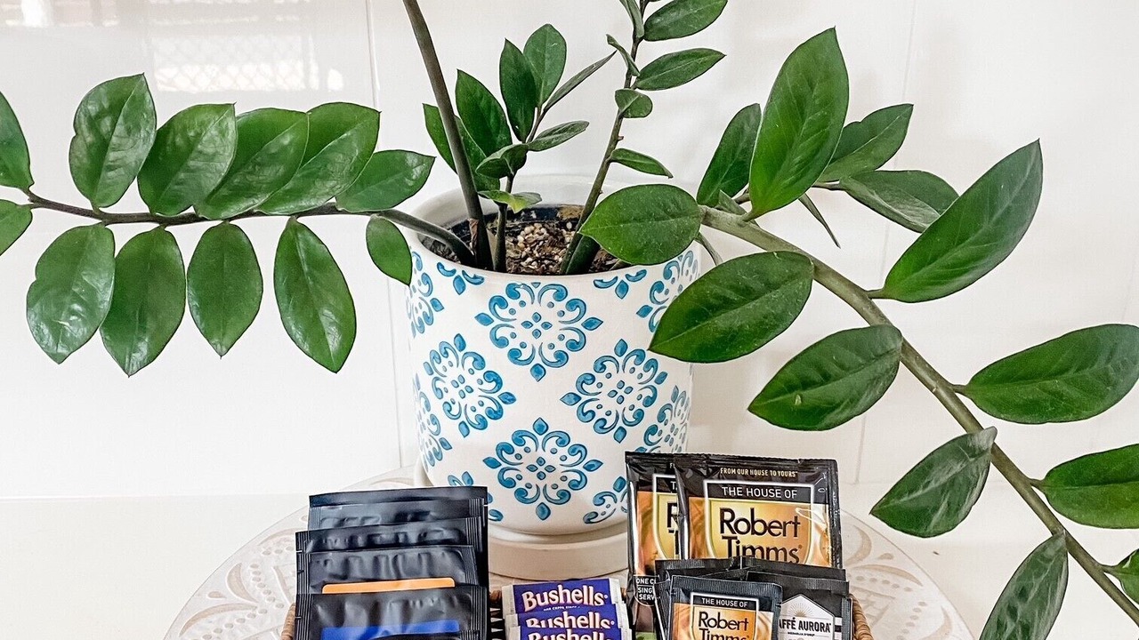 Photo of Others in Bargara