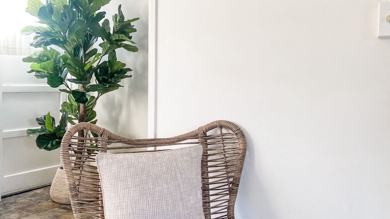 Photo of Outdoor in Bargara