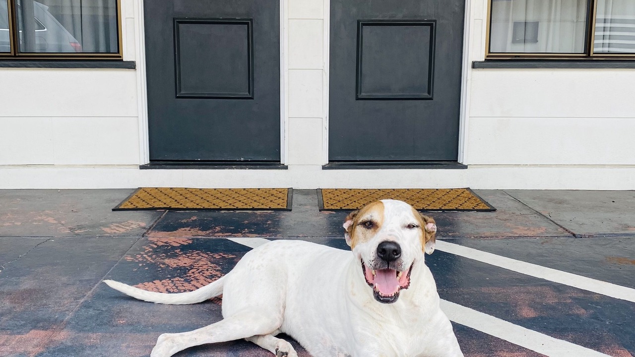 Photo of Others in Bargara