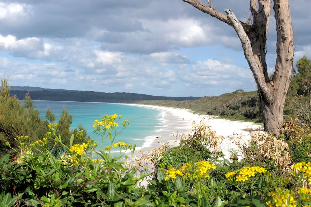 Photo of Others in Hyams Beach