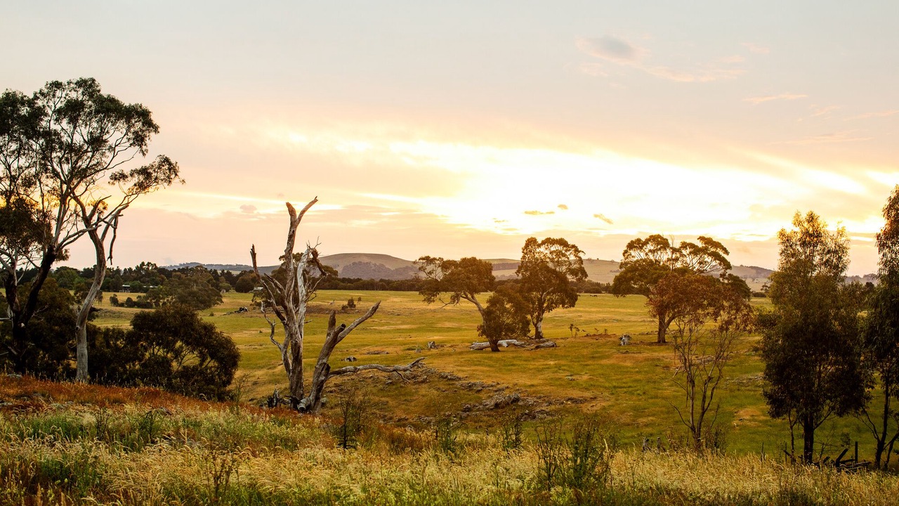 Photo of Outdoor in Limonite