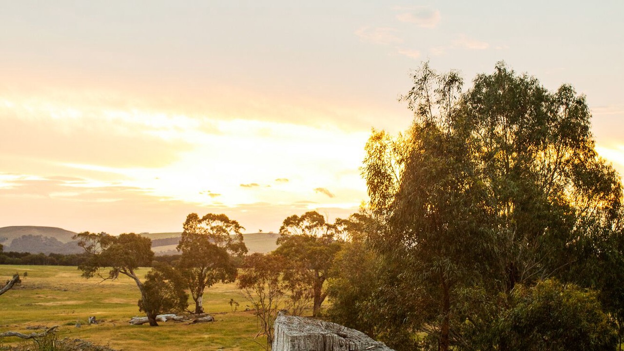 Photo of Outdoor in Limonite