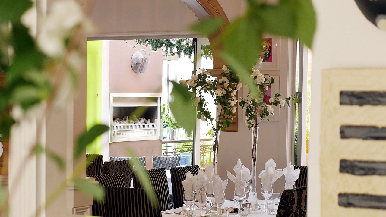 Photo of Others in New Plymouth