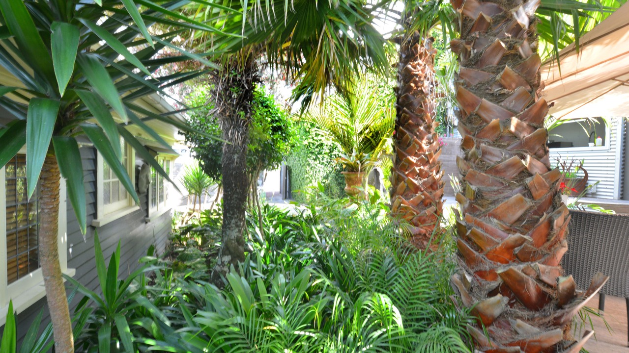 Photo of Outdoor in New Plymouth