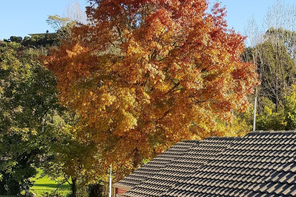 Photo of Others in Taumarunui