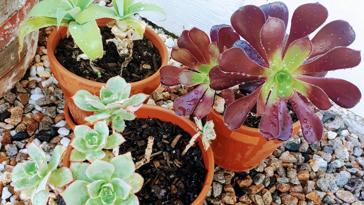 Photo of Outdoor in Seymour