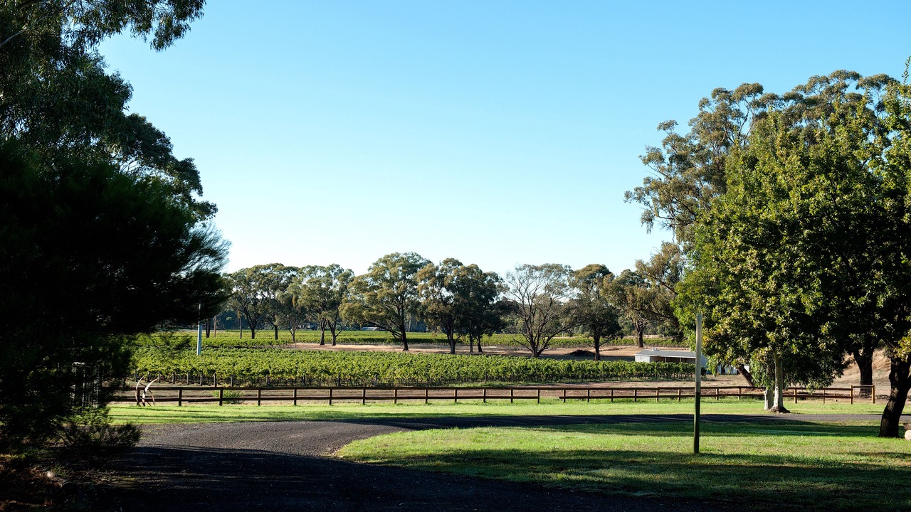Photo of Outdoor in Maiden Gully