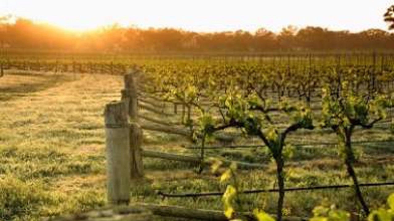 Photo of Others in Maiden Gully