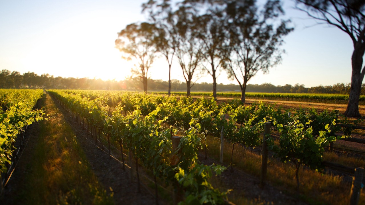 Photo of Outdoor in Maiden Gully