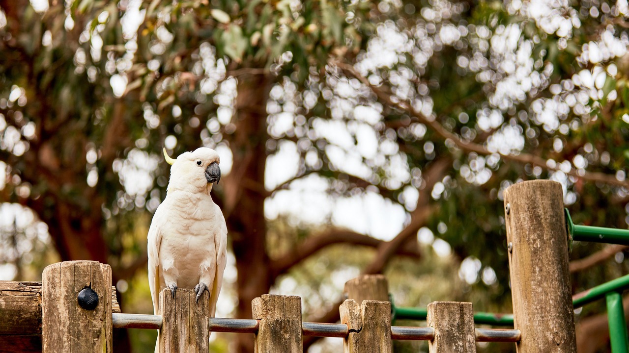 Photo of Outdoor in Kennett River