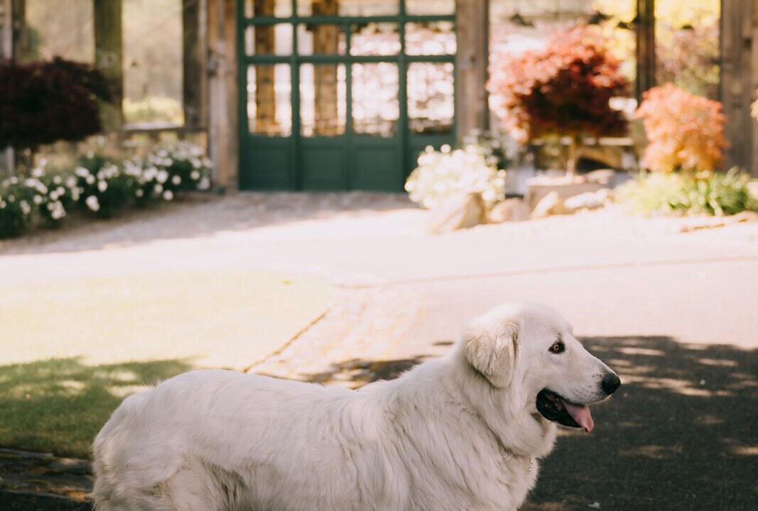 Photo of Outdoor in Strath Creek