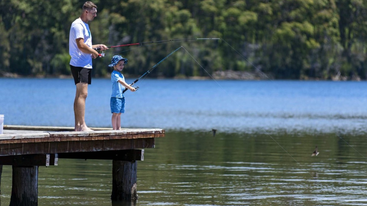 Photo of Outdoor in Burrill Lake