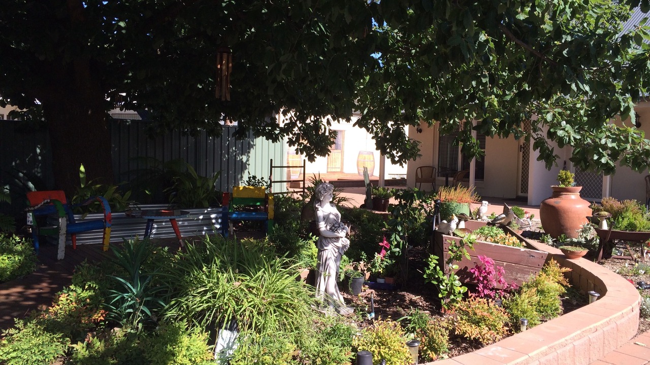 Photo of Outdoor in Hahndorf