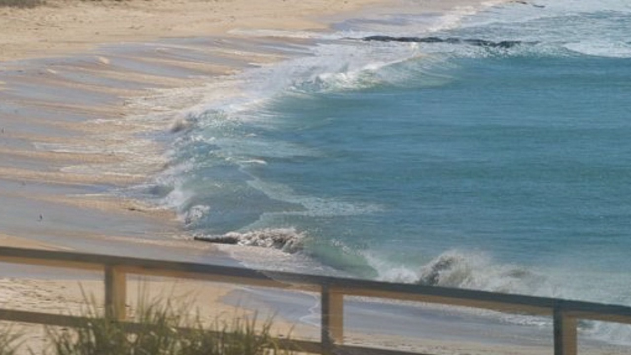 Photo of Outdoor in Forster