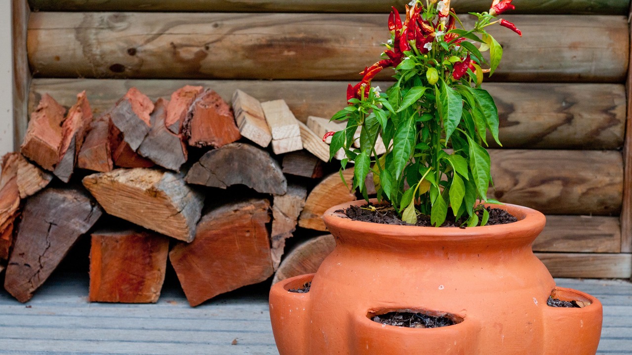 Photo of Outdoor in Ocean Grove