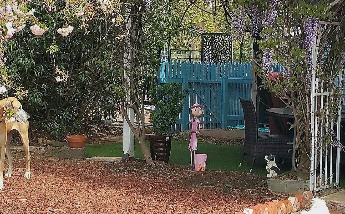 Photo of Others in Rutherglen