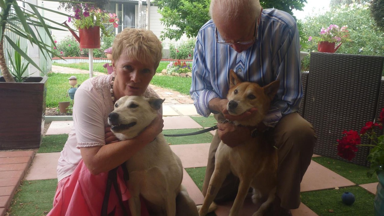 Photo of Others in Rutherglen