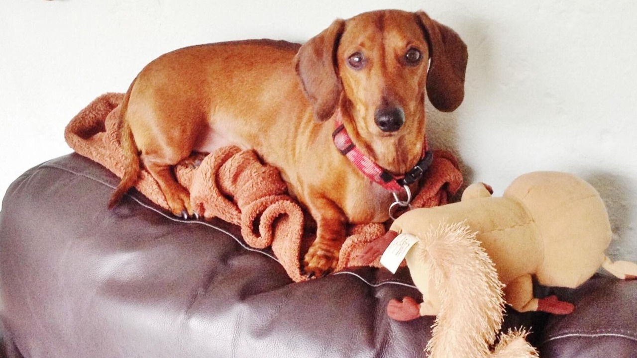 Photo of Others in Rutherglen