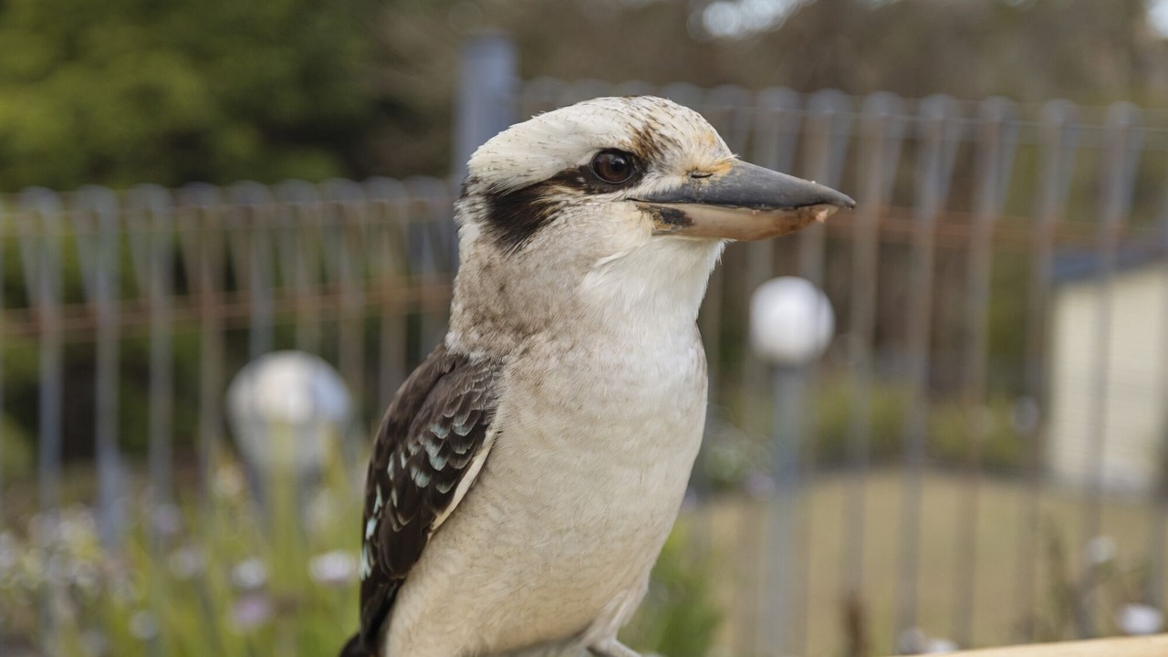 Photo of Others in Metung