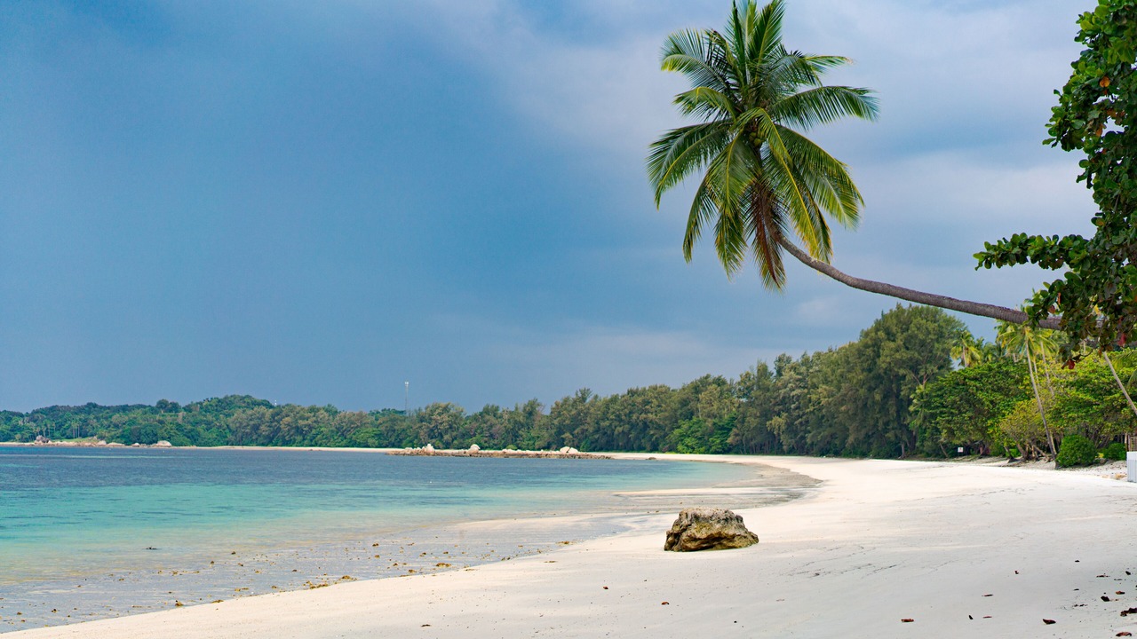 Photo of Others in Sebung