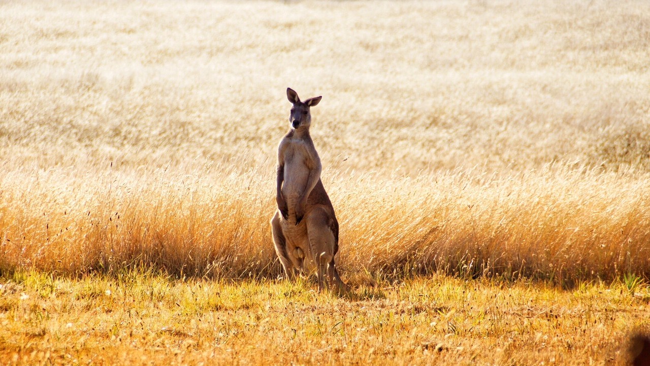Photo of Outdoor in Gisborne