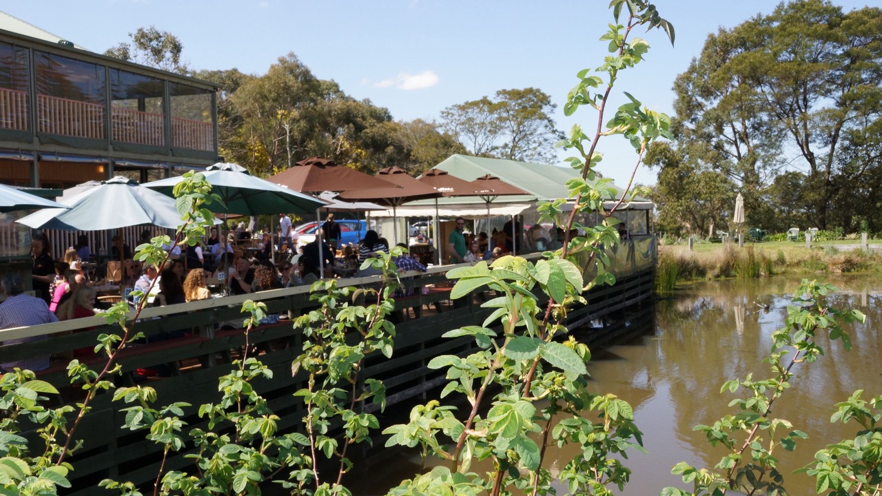 Photo of Others in Gisborne