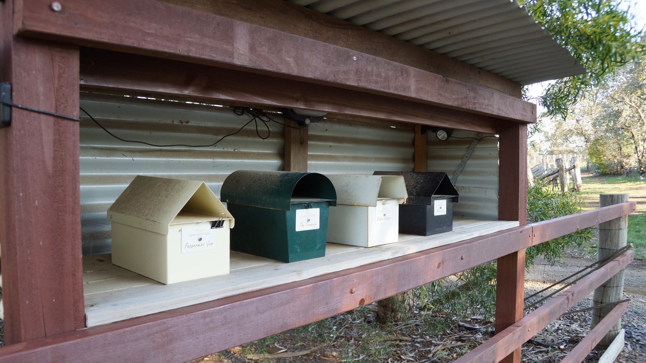 Photo of Outdoor in Gisborne