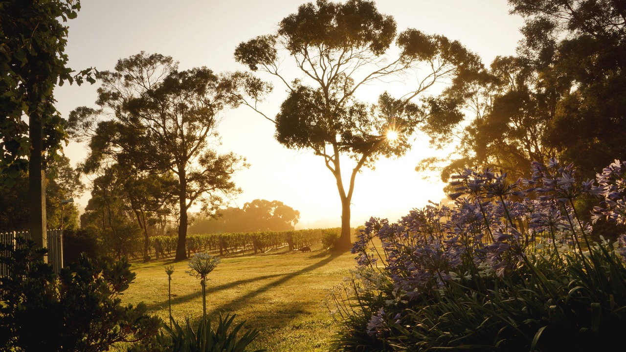 Photo of Others in Gisborne