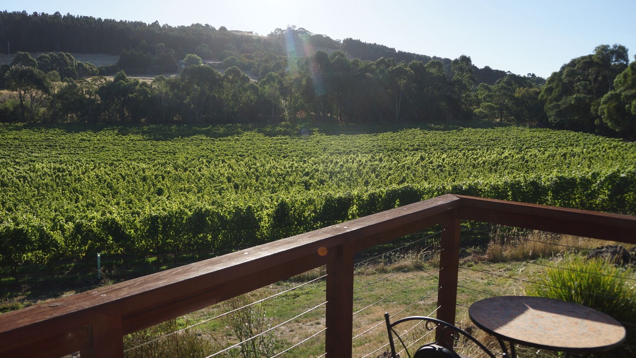 Photo of Others in Gisborne