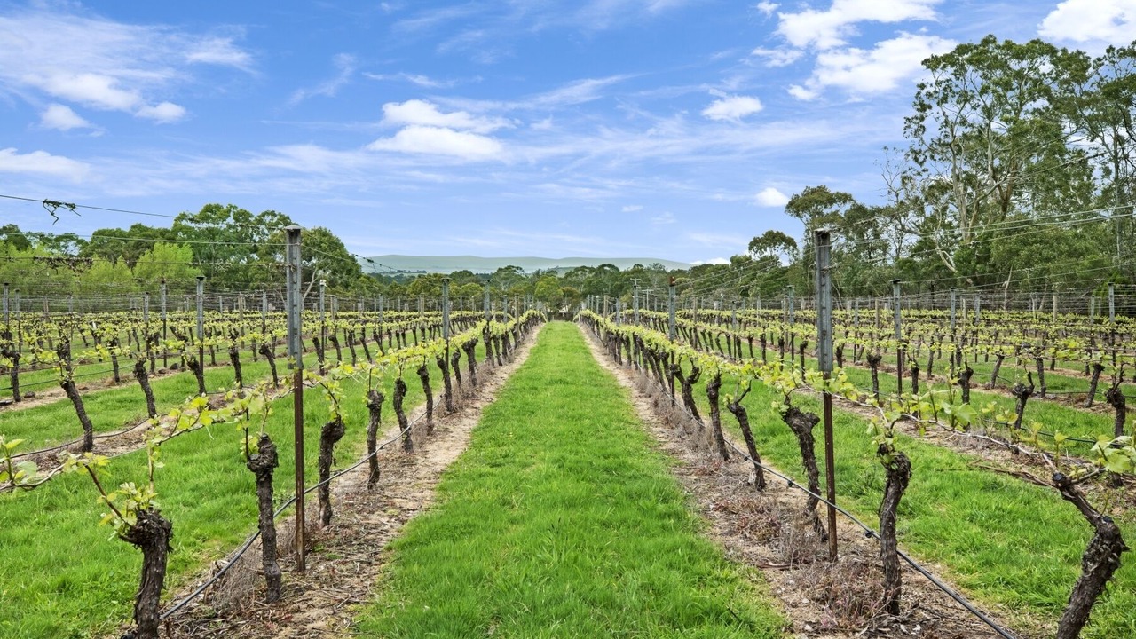 Photo of Others in Gisborne
