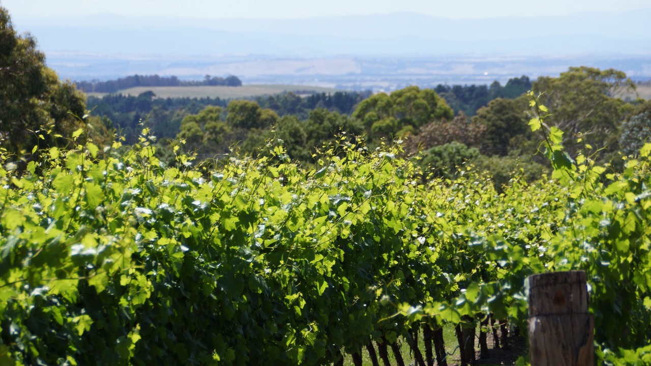 Photo of Outdoor in Gisborne