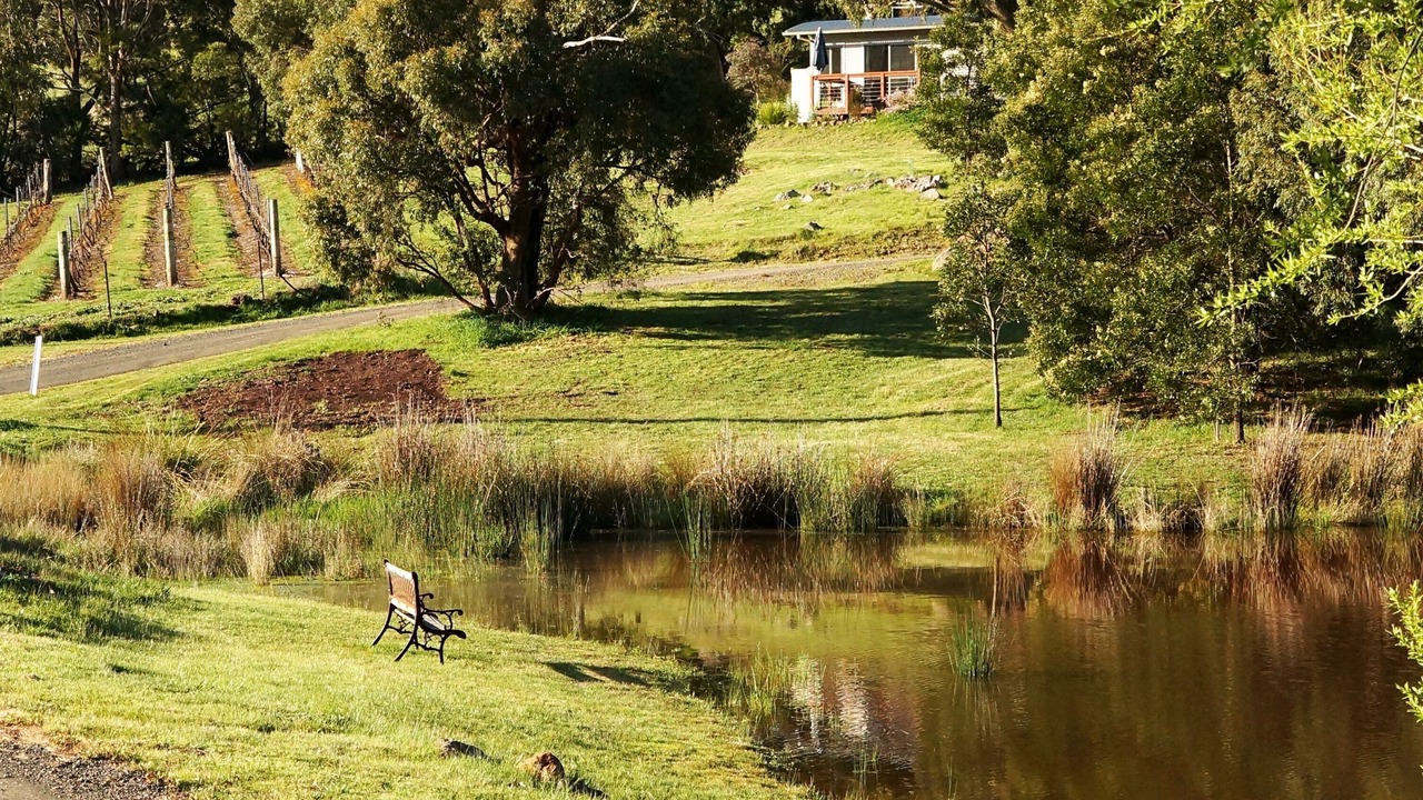 Photo of Outdoor in Gisborne