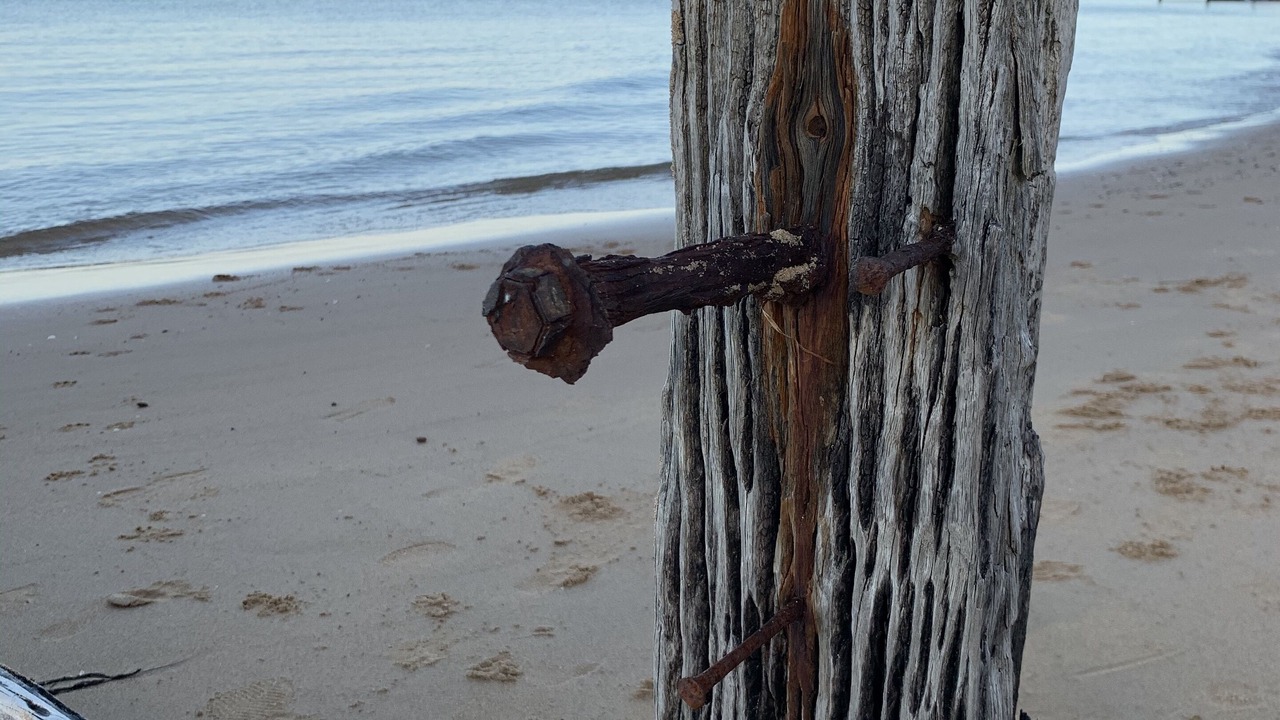 Photo of Others in Cowes