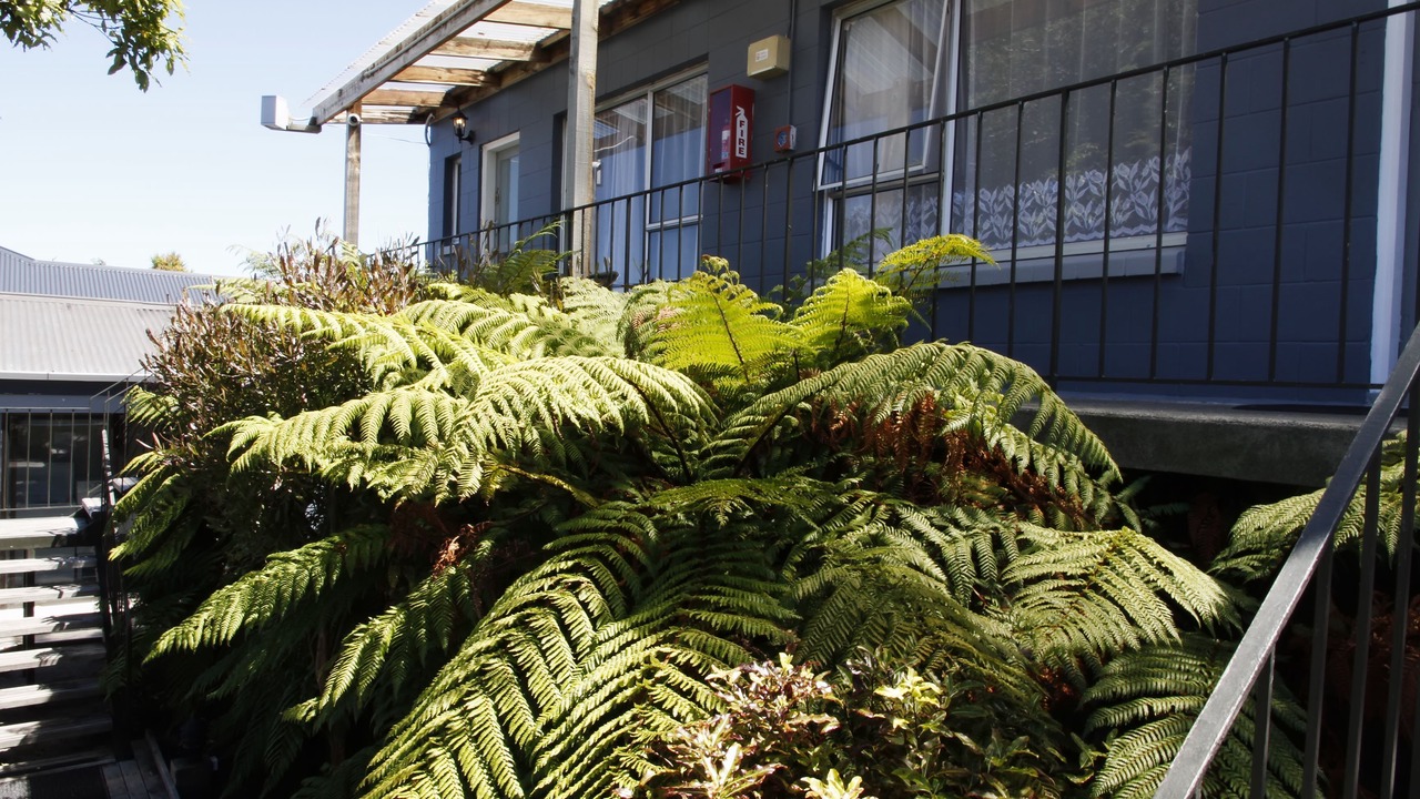 Photo of Others in Saint Albans